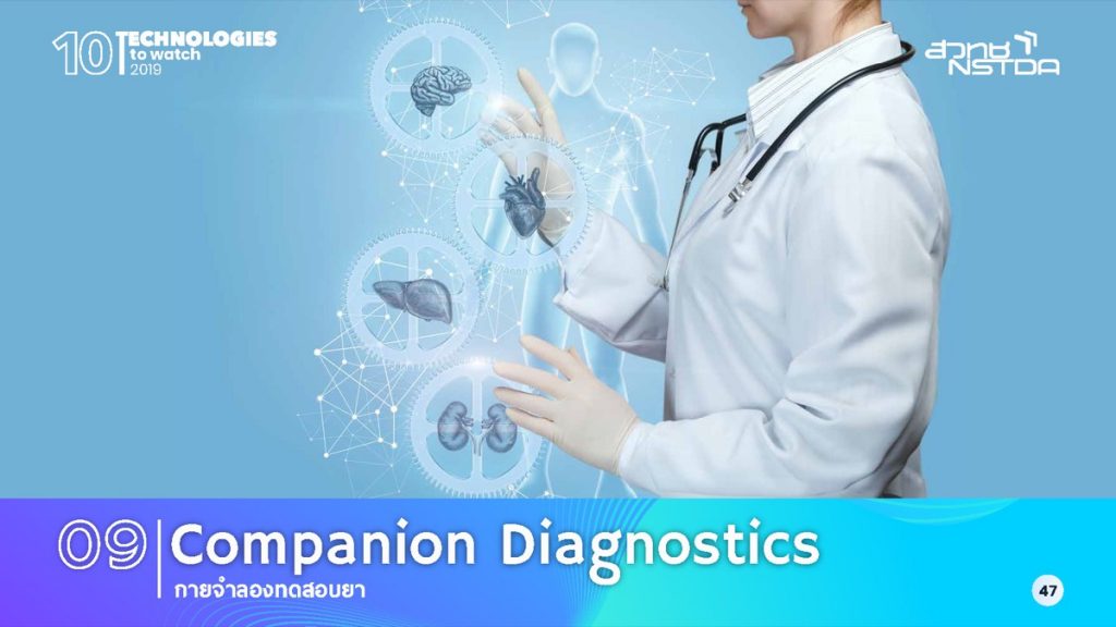 กายจำลองทดสอบยา (Companion Diagnostics)