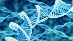 เทคโนโลยีจัดเก็บข้อมูล DNA